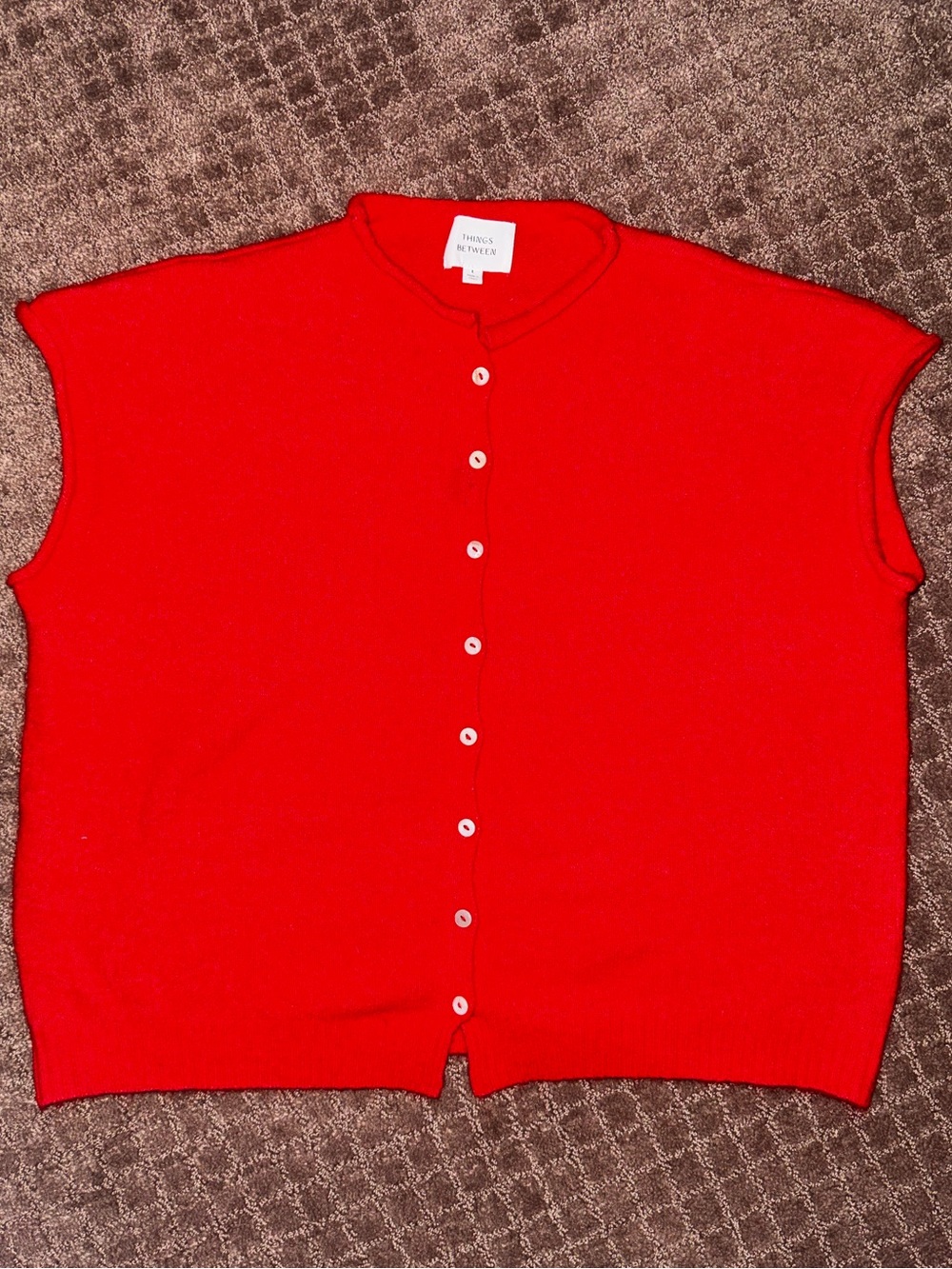 Things Between Sweater Vest
